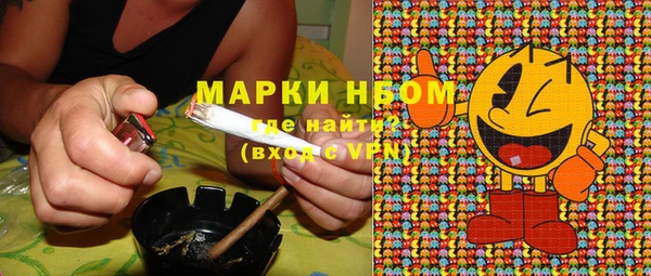 гидропоника Каменка