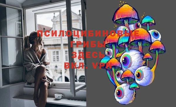 гидропоника Каменка