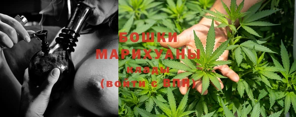 гидропоника Каменка
