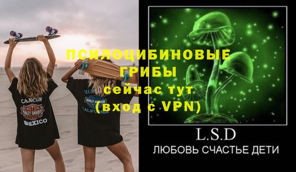 скорость Каменногорск