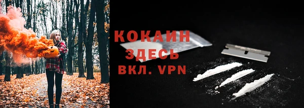 гидропоника Каменка