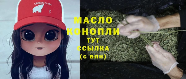 гидропоника Каменка